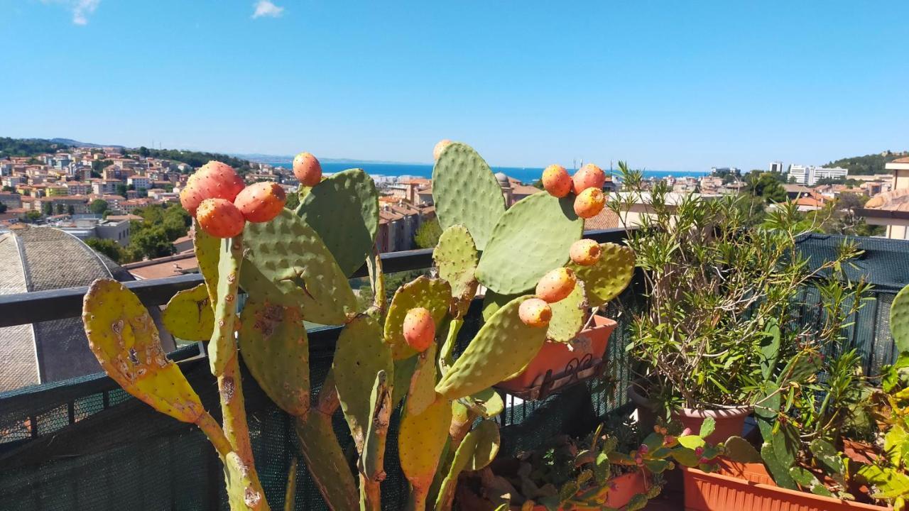 Apartmán Attico Del Conero Ancona Exteriér fotografie
